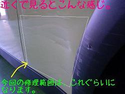 �Ԃ̃L�Y�C���E���h��