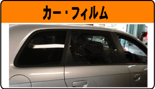 �t�B����