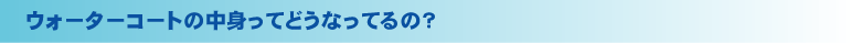 �E�H�[�^�[�R�[�g�̒��g���Ăǂ��Ȃ��Ă�́H
