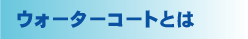 �E�H�[�^�[�R�[�g�Ƃ�